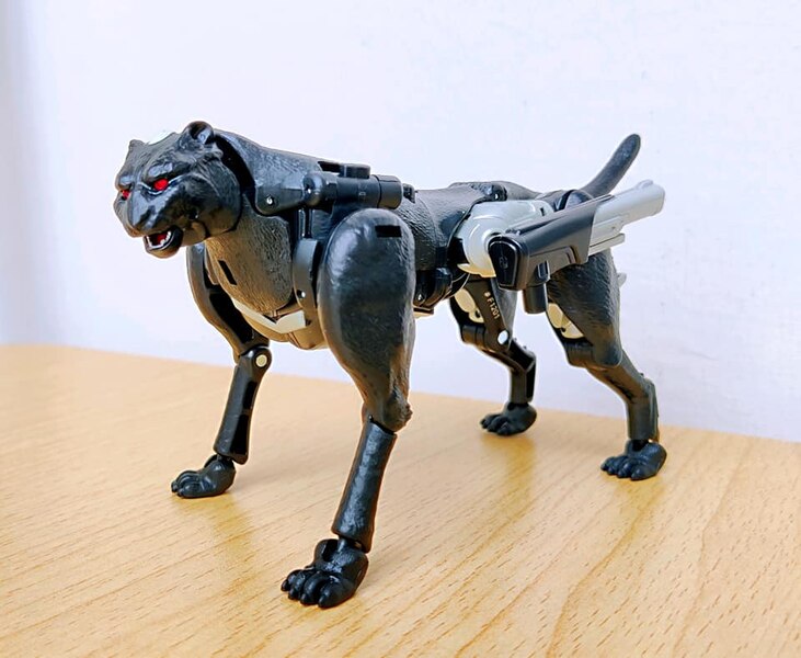 MORE Transformers Agent Ravage Images Cheetor Compared  (28 of 67)